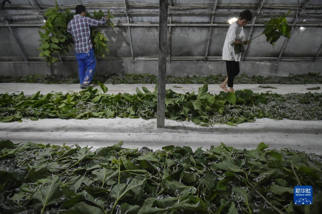 永利游戏402网站